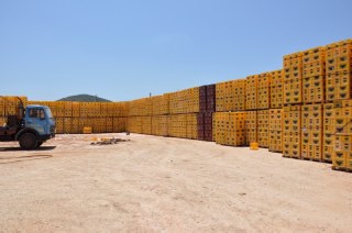 Τι συμβαίνει με τη βιομηχανία Κουρτάκη στο Μαρκόπουλο;